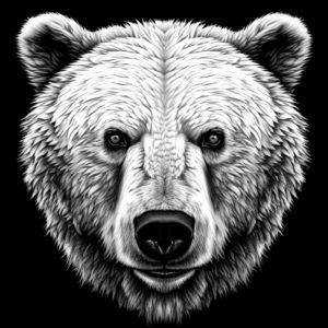 Lions Tigers & Bears